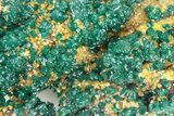 Sparkling Dioptase Crystals On Mimetite - N'tola Mine, Congo #209707-1
